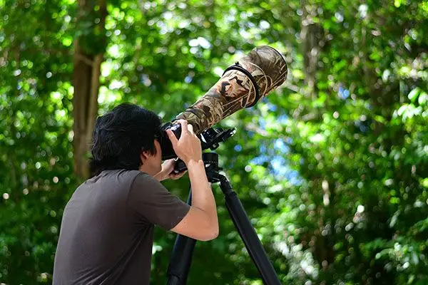 8 Wildlife Photography Tips for Beginners